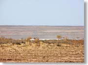 �����r�H