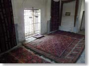 �T�����H