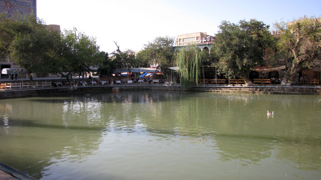 ���r�n�E�Y