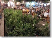 ���h���Z�̒���