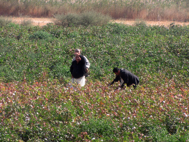 �ȉԔ��œE�ݎ��