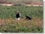 �ȉԔ��œE�ݎ��