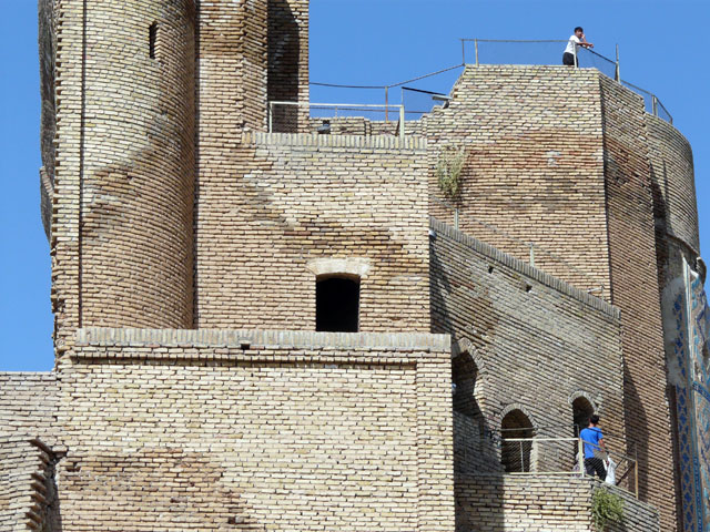 �����猩���A�N�E�T���C