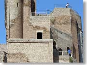 �����猩���A�N�E�T���C