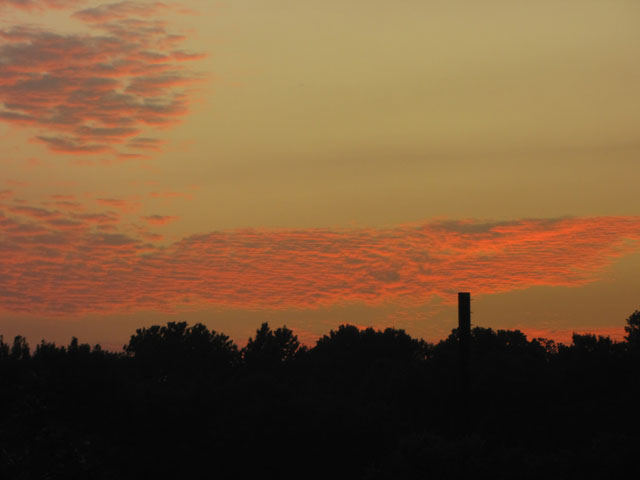 �z�e���E�v���W�f���g�̕������猩���[�Ă�