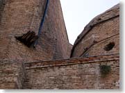 ���̎~�܂��