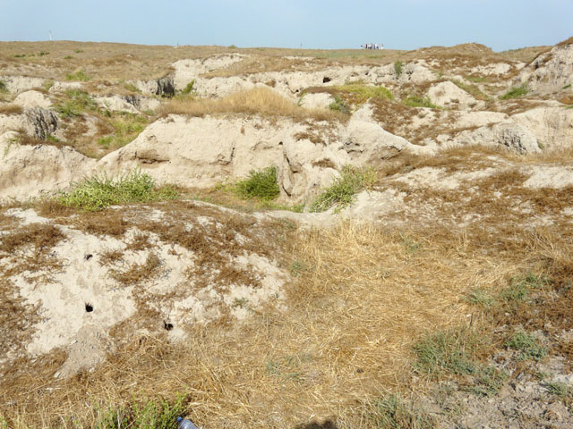 �A�t���V���u�̋u