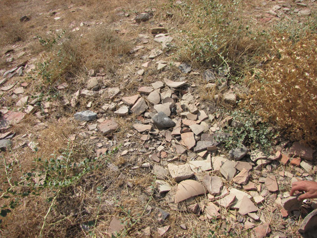 �A�t���V���u�̋u�ɎU�������Ղ̎c�[