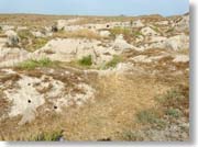 �A�t���V���u�̋u