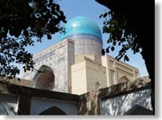 �R�V���E�O���o�X�̃h�[��