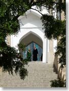 �V���ւ̊K�i