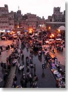 �C�G������̏ォ�猩���T�i�A���s�X�P