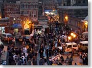 �C�G������̏ォ�猩���T�i�A���s�X�Q