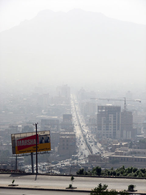 �����l��n���猩���T�i�A�s�X