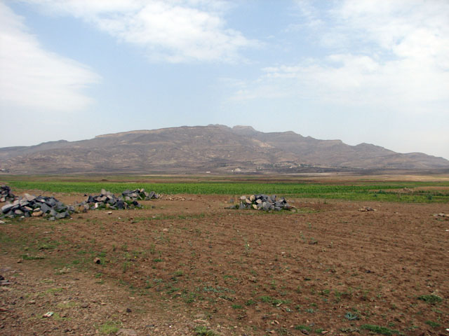 �V�����C�u�R�̉��i