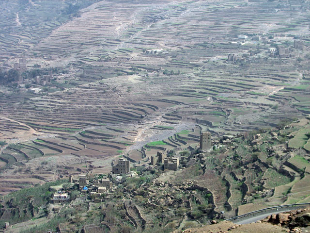 �i�X���̃A�b�v�i�A���n�C�}������j