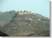 �R�̒���̑�