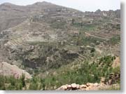 �}�i�n���i