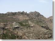 �n�W�������i