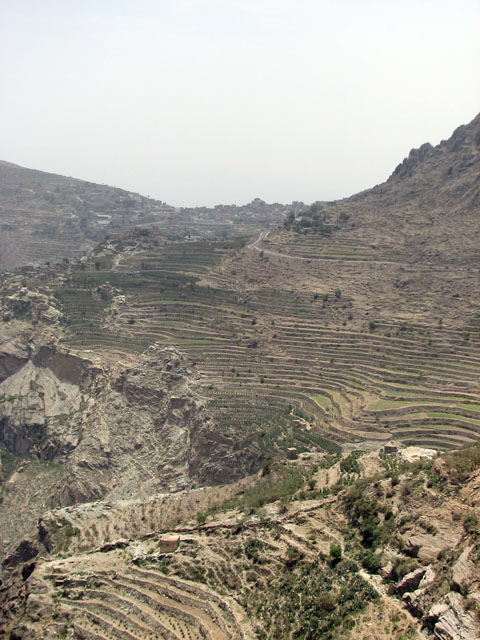 �n�W�������猩���}�i�n