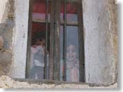 ������`���Ă���q���B