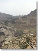 �n�W�������猩���}�i�n