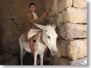 ���N�ƃ��o