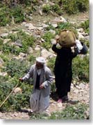 �V�l�Ə���