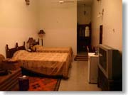 �T�}�[�z�e���i�R�O�U�����j