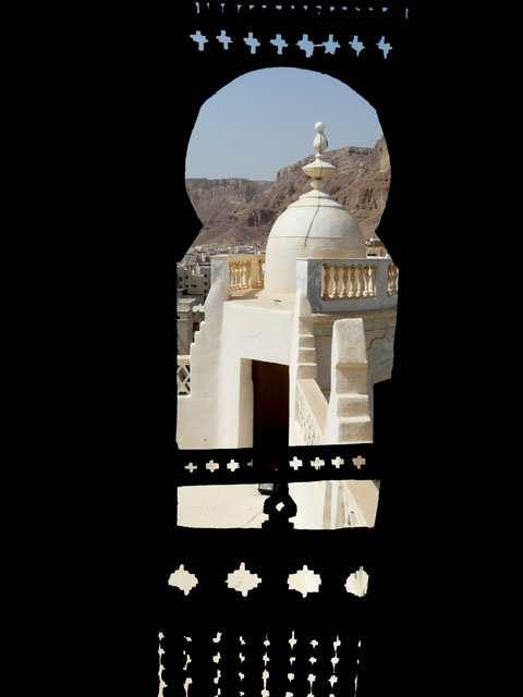 ��������Z�C���[���s�X������Q