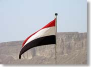 �C�G��������