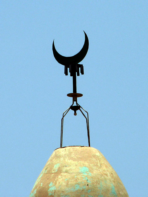 �O�����^�̕����{�i�^�����j