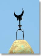 �O�����^�̕����{�i�^�����j