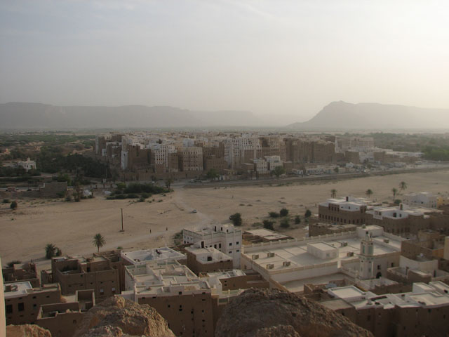 ���f�B������ŃV�o�[���V���s�X