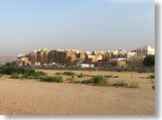 �n�ォ�猩���V�o�[�����s�X���i