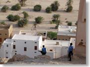 �������Ă���x����