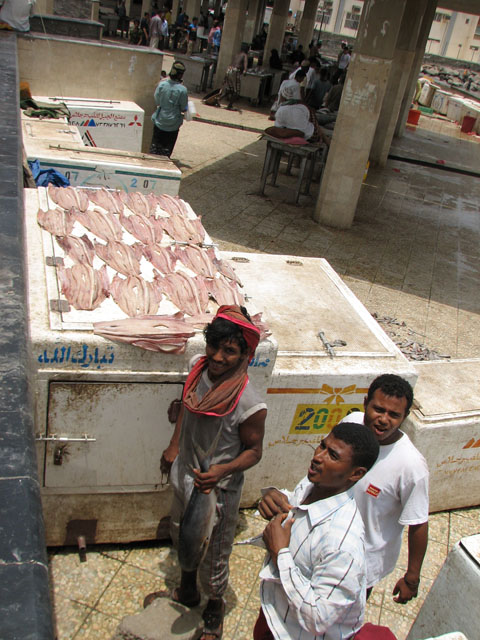 �t�B�b�V���E�}�[�P�b�g�P