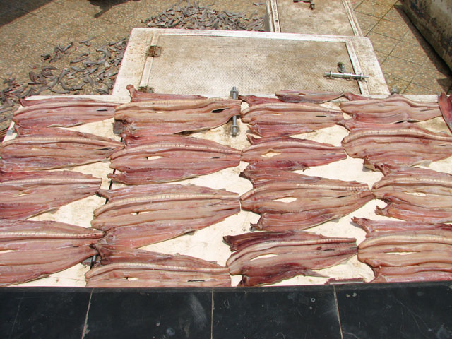 �������̋�