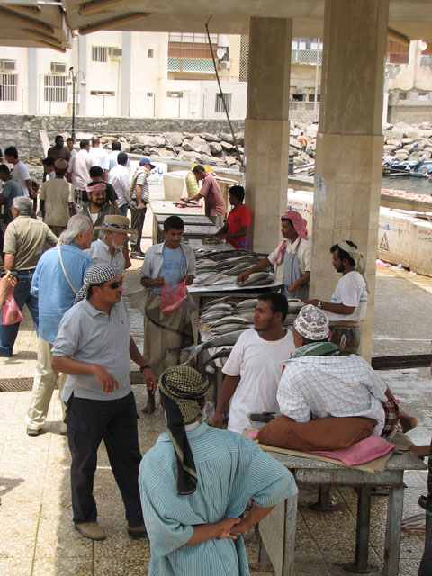 �t�B�b�V���E�}�[�P�b�g�Q