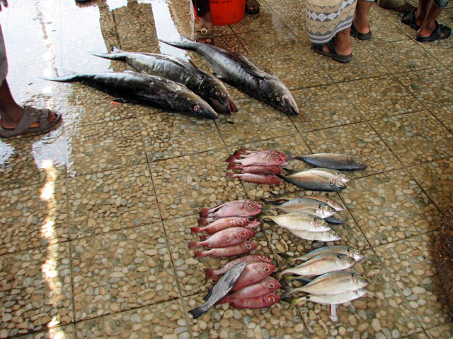 ���ɕ��ׂ�ꂽ��