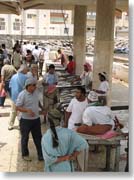 �t�B�b�V���E�}�[�P�b�g�Q