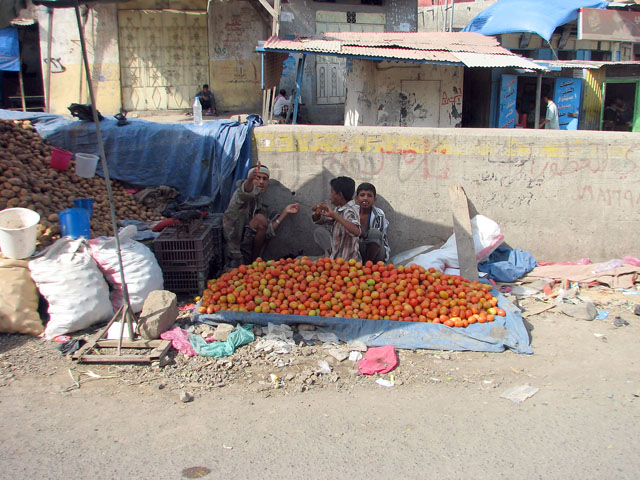 �ʕ�����