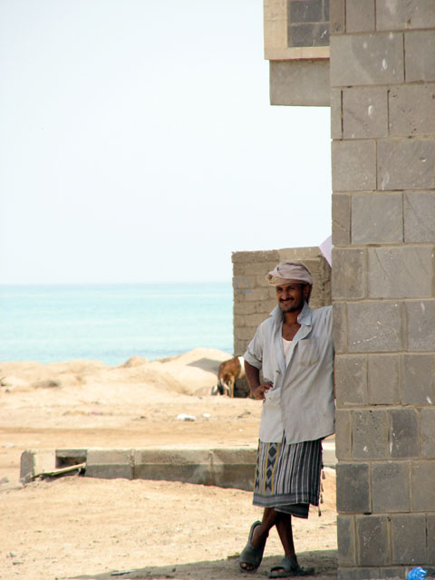 �ǂɂ����ꂽ��������