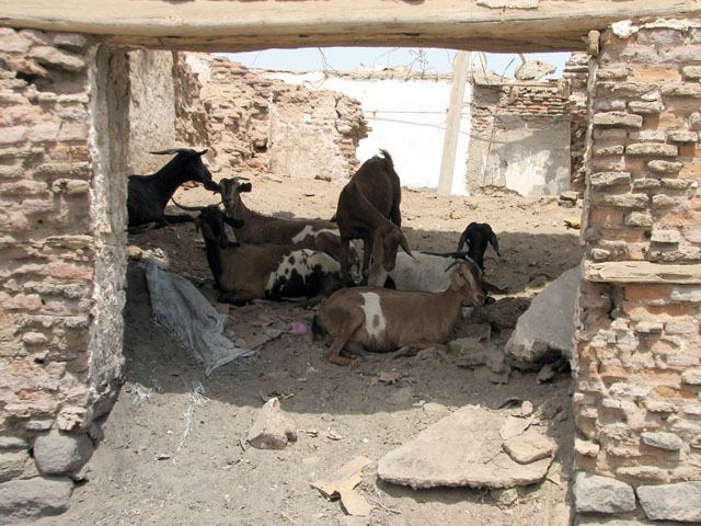 ���M����