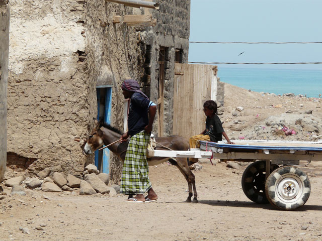 ���o�����̐e�q