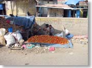 �ʕ�����