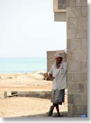 �ǂɂ����ꂽ��������