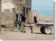 ���o�����̐e�q