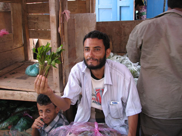 �J�[�g����Q