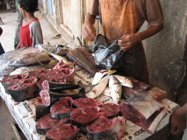 ���̐؂蔄��